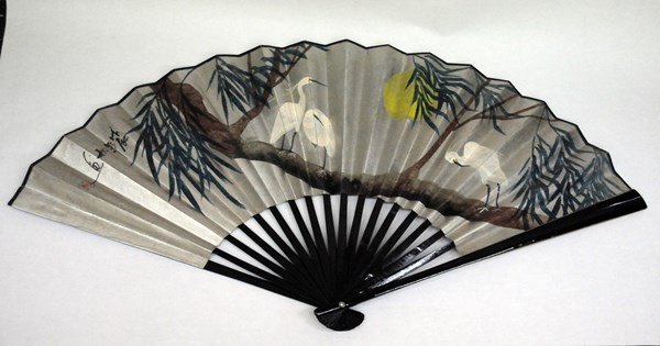 N204_Fan
