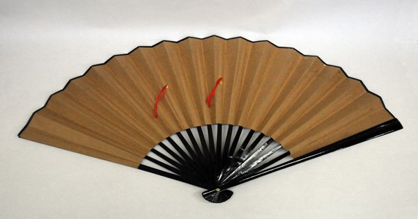 N204_Fan